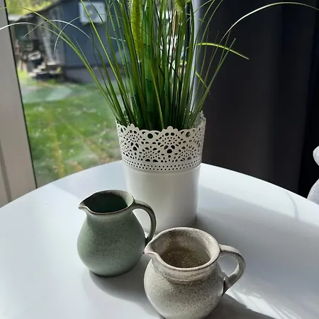 Tinyhouse Frida Tatil Evi Stuer