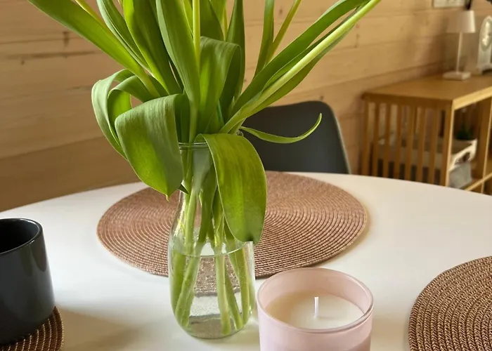 Tinyhouse Frida &ndash Stilvolle Auszeit Am & Ruhe In Mecklenburgische Seenplatte Stuer